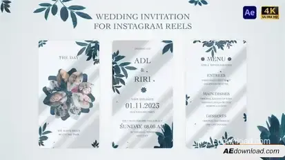 Wedding Invitation for Instagram Reel Openers template preview