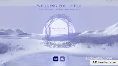 Wedding Invitation for Instagram Reels Elements template preview