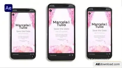 Wedding Invitation Instagram  Openers template preview