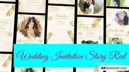 Videohive Wedding Invitation Instagram and TikTok Reel Openers template preview