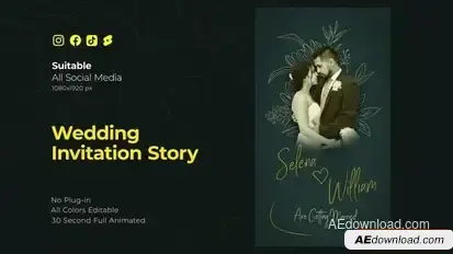 Wedding Invitation Instagram Reel Openers template preview