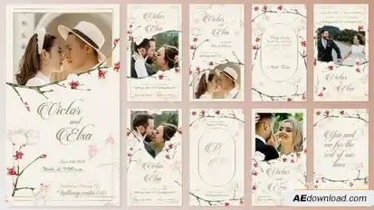 Wedding Invitation Instagram Stories Openers template preview