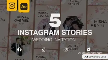 Wedding Invitation Instagram Stories 5 in 1 Openers template preview