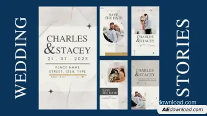 Wedding Invitation Instagram Stories | Reels Video Displays template preview