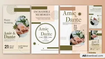 Wedding Invitation Instagram Stories Template | AE Openers template preview