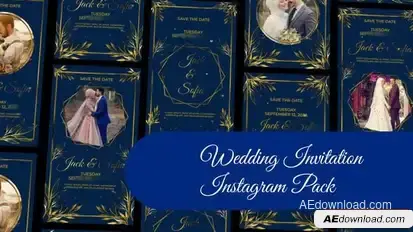 Videohive Wedding Invitation Instagram Story and Reel II Openers template preview
