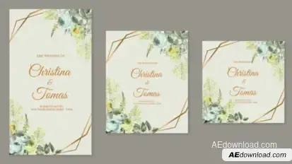 Wedding Invitation Intro 3 Video Displays template preview