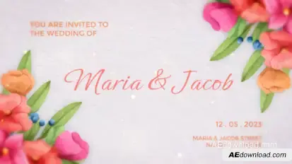 Wedding Invitation Intro Video Displays template preview