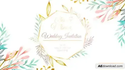 Wedding Invitation Intro Openers template preview