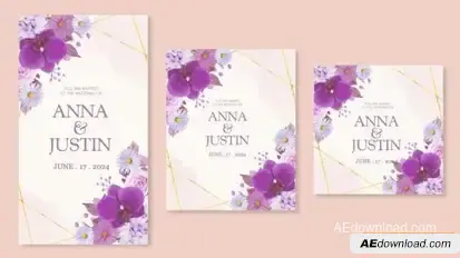 Wedding Invitation Intro Openers template preview