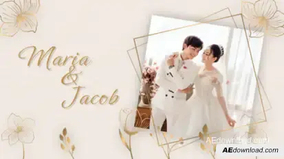 Wedding Invitation Intro Video Displays template preview