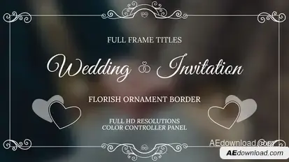 Wedding Invitation Overlays Elements template preview