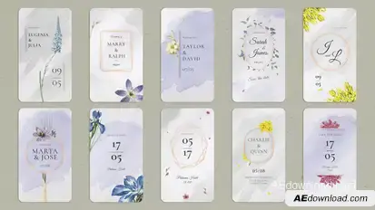 Wedding Invitation Tik Tok | Stories Elements template preview