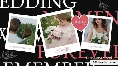 Wedding Invitation Video Display After Effect Template Openers template preview
