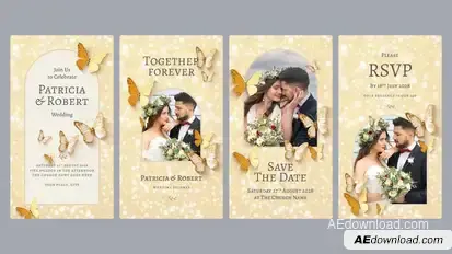Wedding Invitation Video Template Video Displays template preview