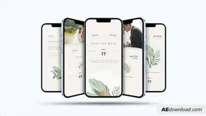 Wedding Invite Instagram Video Displays template preview