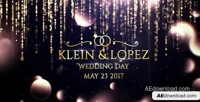 Wedding Opener Openers template preview