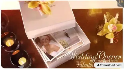 Wedding Opener / Valentine's Intro Openers template preview