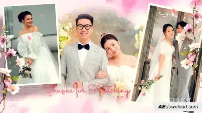 Wedding Photo Slideshow Elements template preview
