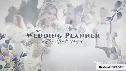 Wedding Planner Video Displays template preview