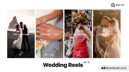 Wedding Reels Vol. 15 Video Displays template preview