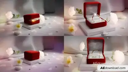 Wedding Ring Title Opener Video Displays template preview