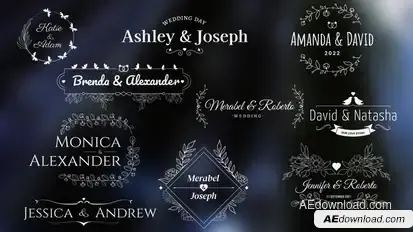 Wedding/Romantic Titles Titles template preview