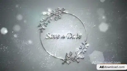 Wedding Silver Titles Logo Stings template preview