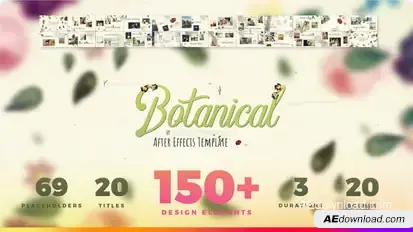 Wedding Slideshow Video Displays template preview
