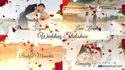 Wedding Slideshow Video Displays template preview