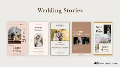 Wedding Stories Video Displays template preview