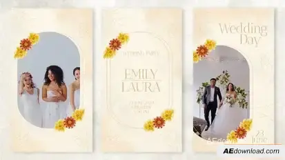 Wedding Stories Instagram Openers template preview