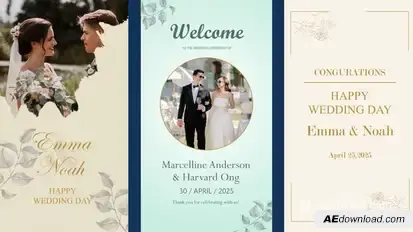 Wedding Story - Reels Video Displays template preview