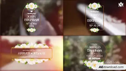 Wedding title V.01 Titles template preview