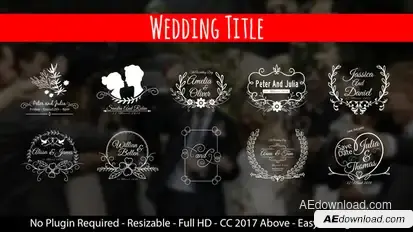 Wedding Titles Titles template preview