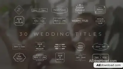 Wedding Titles Titles template preview