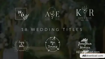 Wedding Titles Openers template preview