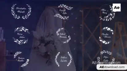 Wedding TItles Titles template preview