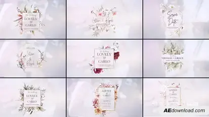 Wedding titles Video Displays template preview