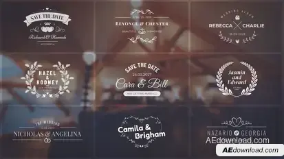 Wedding Titles Titles template preview