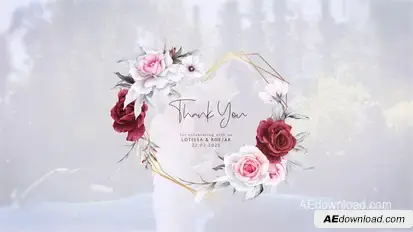 Wedding titles Openers template preview