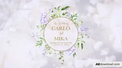 Wedding titles Openers template preview