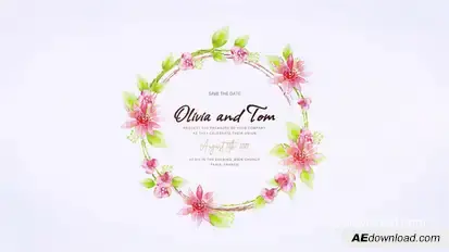 Wedding Titles Openers template preview