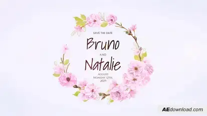 Wedding Titles Openers template preview