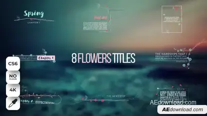 Wedding Titles Flowers  AE Titles template preview