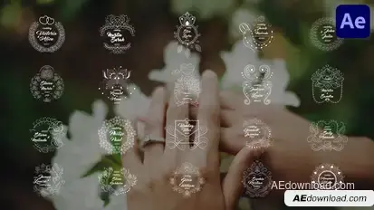 Wedding Titles for After Effects Titles template preview