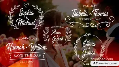 Wedding Titles Pack Titles template preview