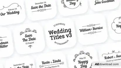 Wedding Titles v3 Titles template preview