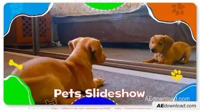 Videohive Welcome Pets World Openers template preview