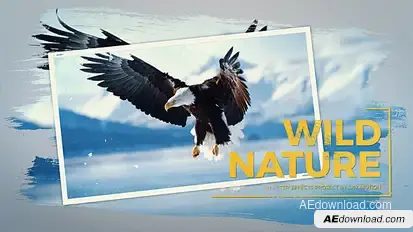 Wild Nature Slideshow Video Displays template preview